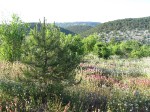 Туристический поход с детьми по юго-западному Крыму (июнь 2010)