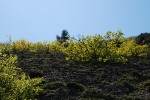 Поход по Южному берегу Крыма (май 2010)