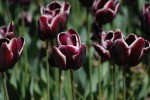 Поход по Южному берегу Крыма (май 2010)