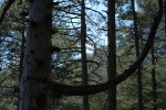 Поход по Южному берегу Крыма (май 2010)