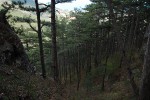 Поход по Южному берегу Крыма (май 2010)