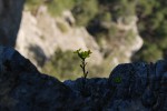 Поход по Южному берегу Крыма (май 2010)