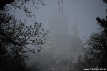 DSC_6131