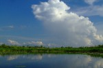 Байдарочный поход выходного дня по Нижнеднепровским плавням (май 2010)