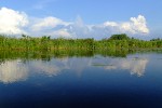 Байдарочный поход выходного дня по Нижнеднепровским плавням (май 2010)