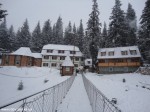 DSC05965
