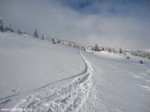 DSC06047