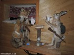 DSCN0328
