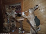 DSCN0329