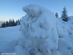 DSCN0344