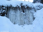DSCN0352
