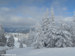 DSCN0367