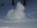 DSCN0391