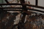 Поход на остров Джарылгач (август 2010)