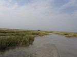 Остров Джарылгач