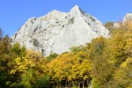 DSCF9225