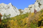 DSCF9228
