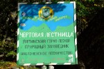 DSCF9230