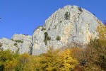 DSCF9237