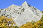 DSCF9242