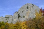 DSCF9267
