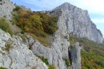 DSCF9308
