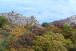 DSCF9309