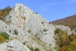DSCF9333