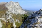 DSCF9352