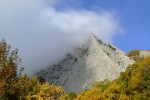 DSCF9395