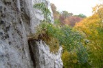 DSCF9434