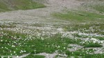 F120802-164234575