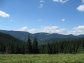 Izobrazhenie448