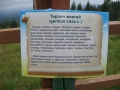 Izobrazhenie657