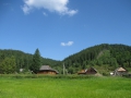 Izobrazhenie716