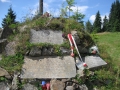 Izobrazhenie738