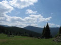 Izobrazhenie742