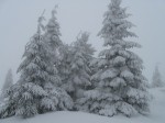 Говерла-Драгобрат 2009