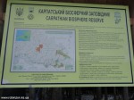 DSC05918