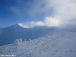 DSC05950