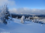 DSC05953