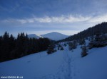 DSC05958