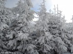 DSCN0182