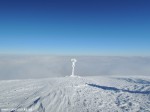 DSCN0210
