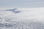 DSC_1366