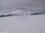 IMG_0336
