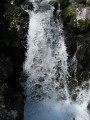 Камчатка 2008