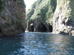 Камчатка 2008