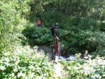 Камчатка 2008