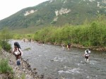 Камчатка 2008